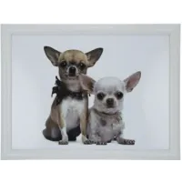 Knie dienblad met kussen eronder Laptray Chihuahua’s